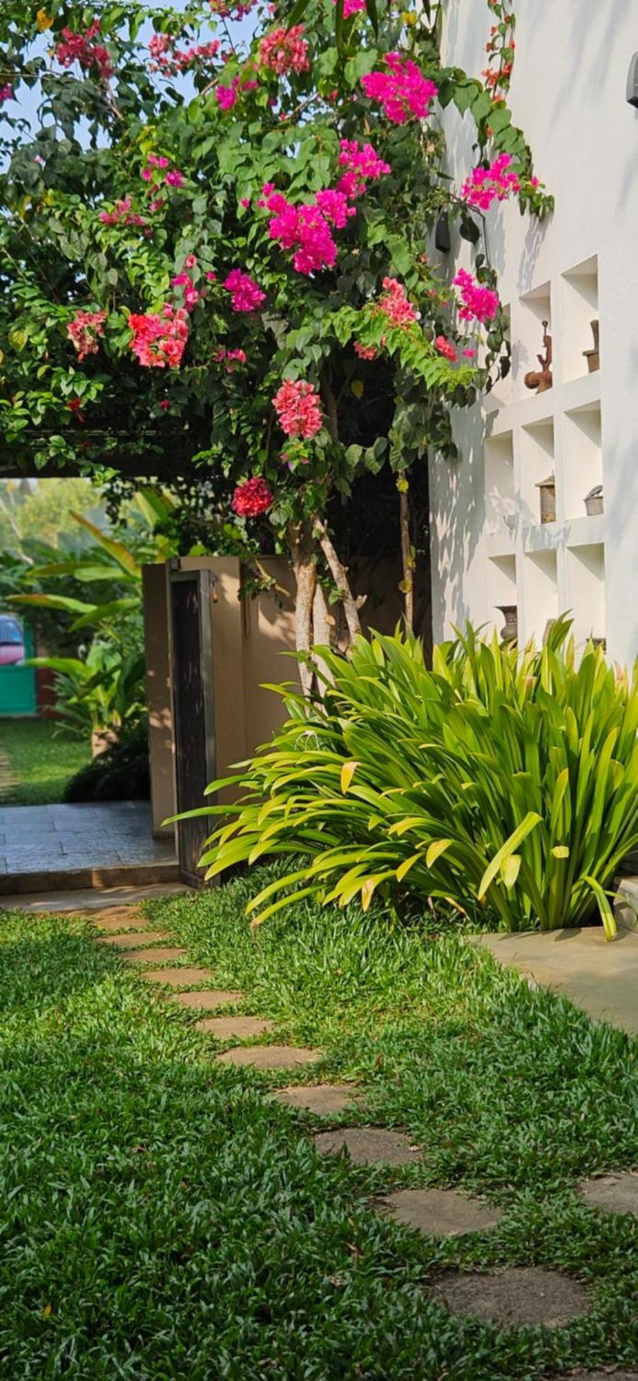 Villa Mia Mararikulam Extérieur photo